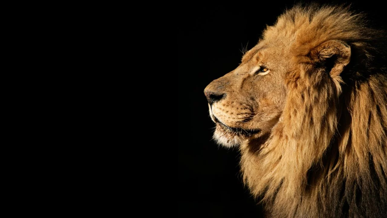 Governo quer aumentar isentos do Imposto de Renda em 2024