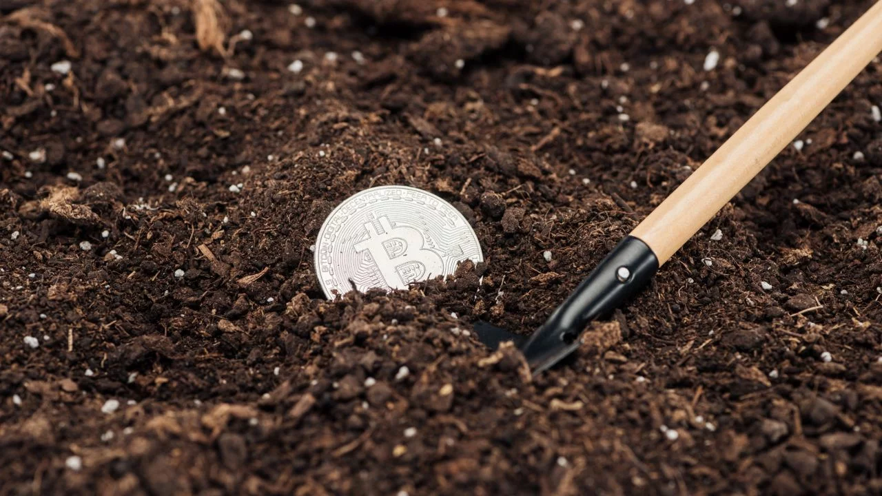 Corretora de criptomoedas: o que deve ser analisado no momento da escolha?