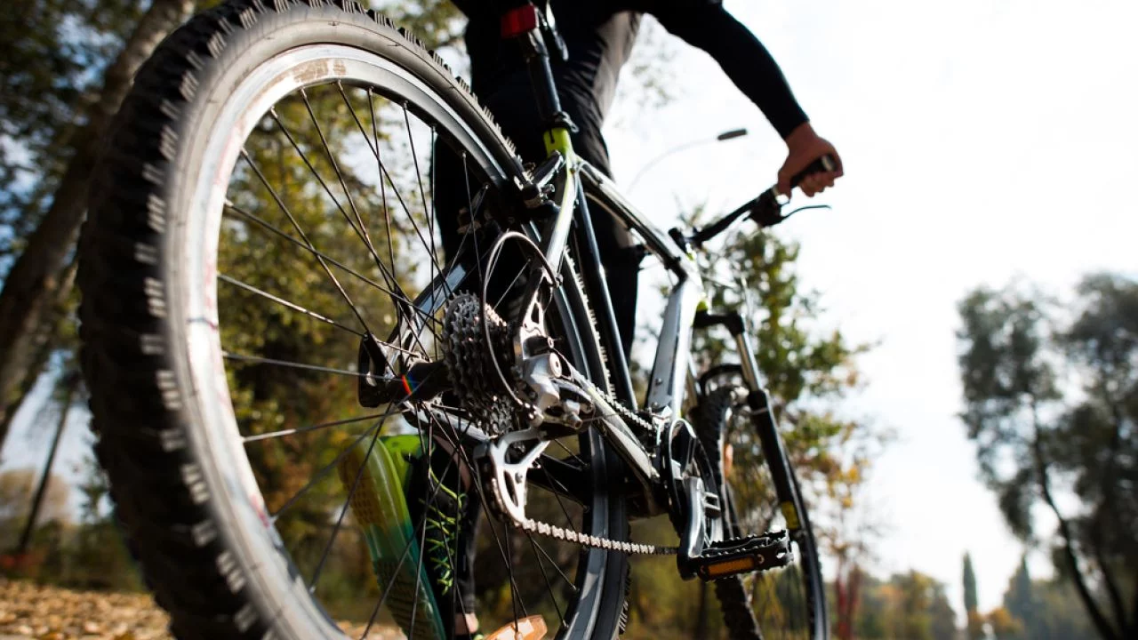 Seguros de bicicleta: confira os melhores de 2023
