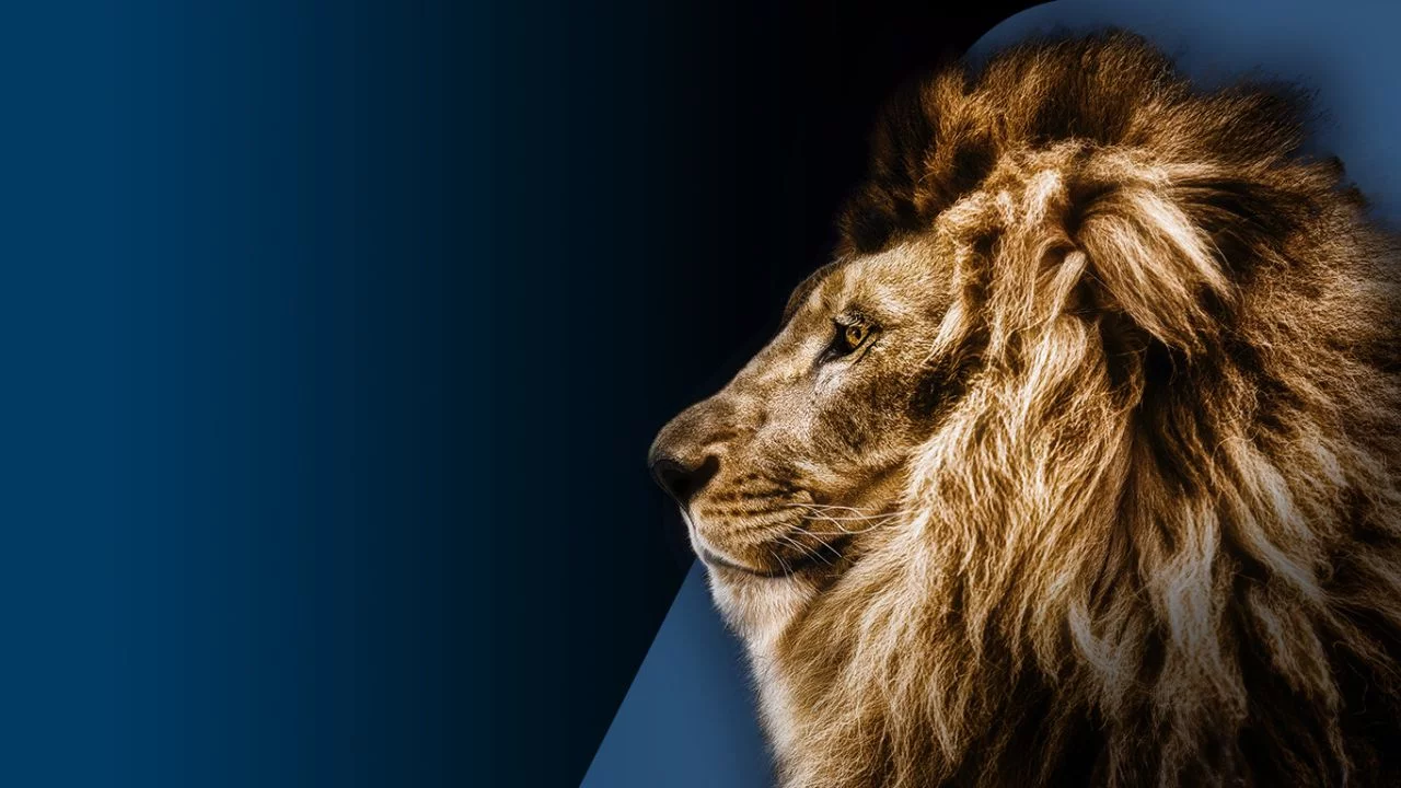 Imposto de Renda 2023: Liberada consulta a lote residual