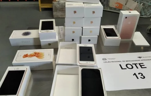 "Descubra como arrematar grandes oportunidades no Leilão da Receita Federal!"