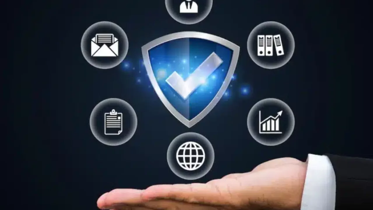 Seguros: confira os mais procurados do mercado