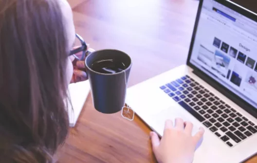 "Descubra as melhores oportunidades de negócios para conquistar o futuro em 2024!"