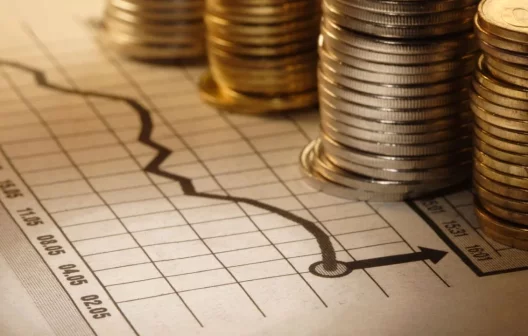 "Descubra como saber exatamente quanto dinheiro você realmente ganha no final do mês!"