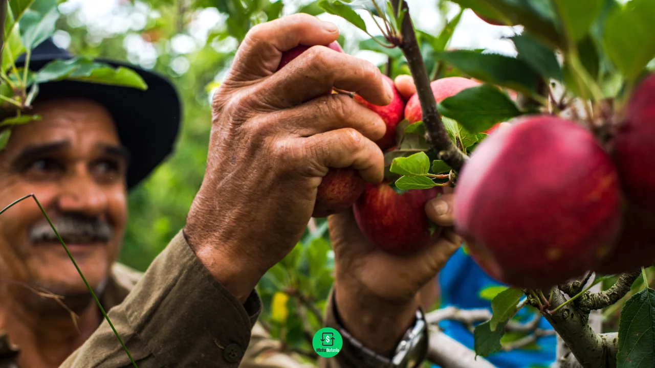 Como pedir pensão por morte rural? Saiba quem tem direito