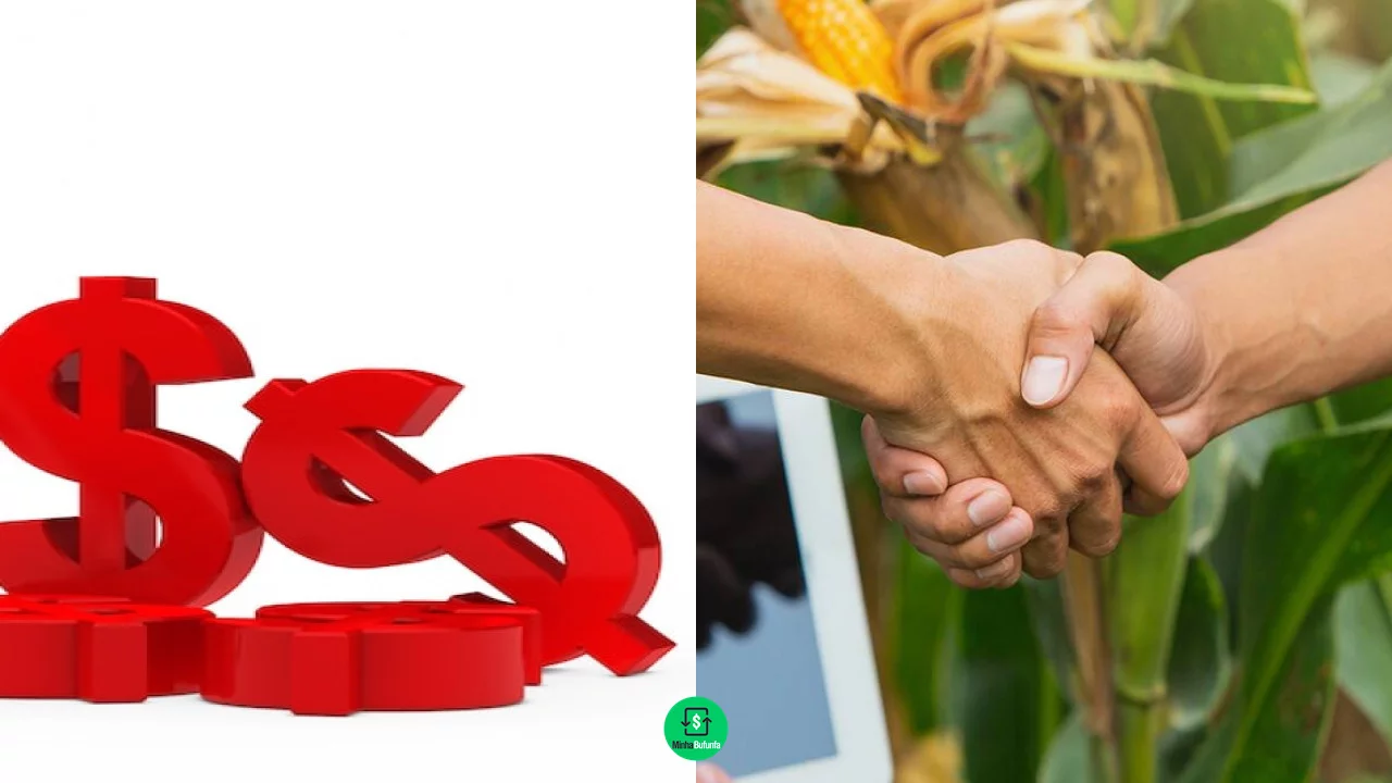 Pronampe 2025: Como conseguir crédito com juros baixos para pequenos negócios