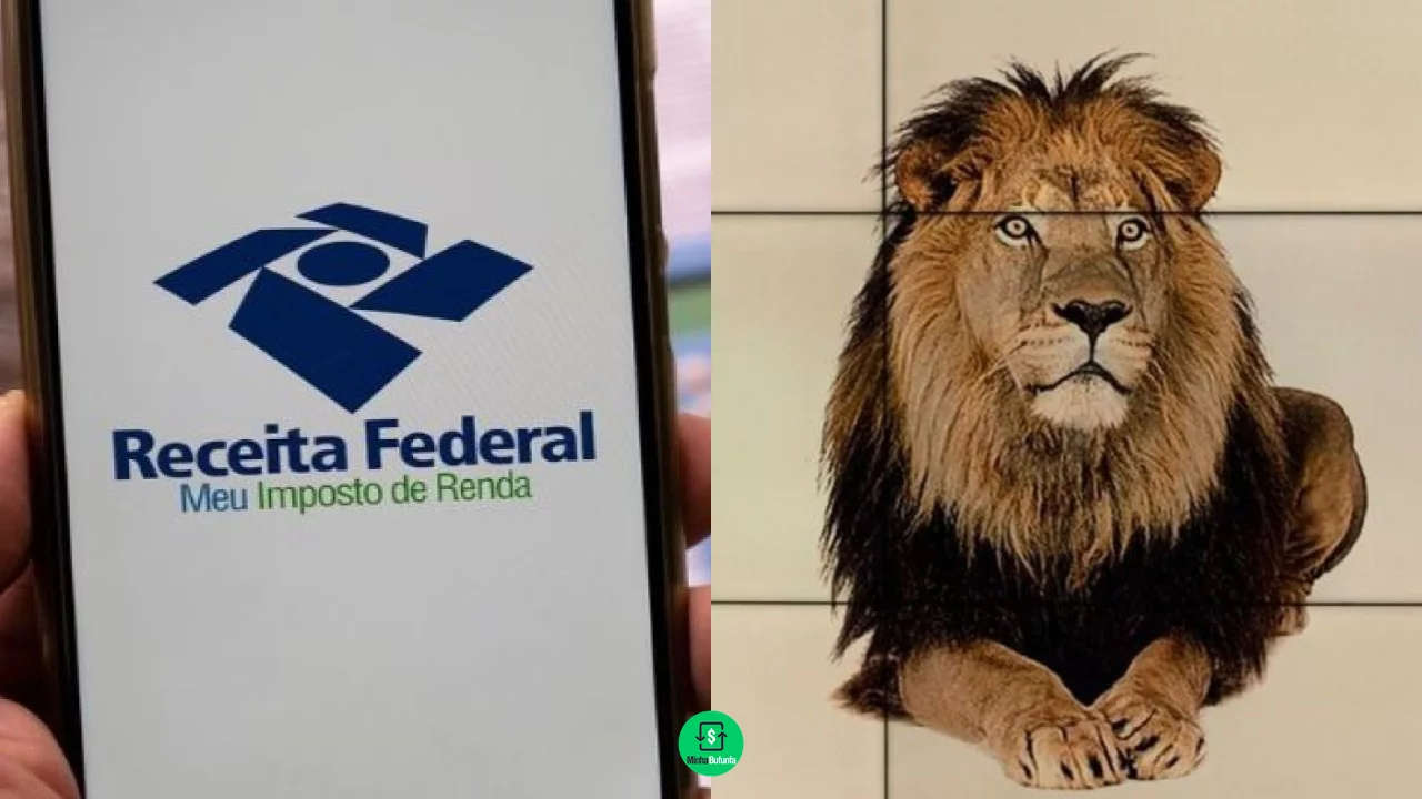 Imposto de Renda 2025: Quem pode ser seu dependente e como declarar corretamente