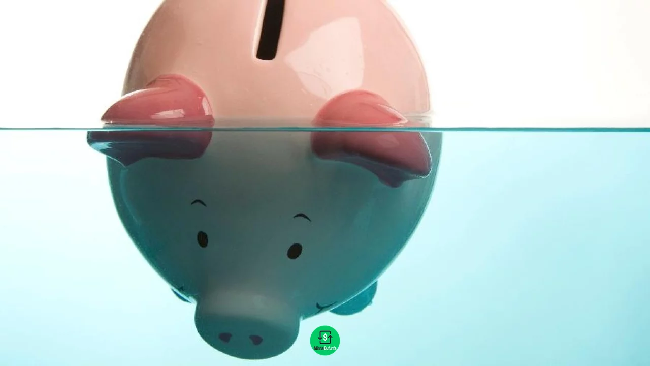 O que é a Declaração de Ausência de Renda? Saiba quando utilizar