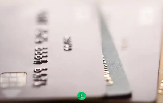 "Transforme sua vida financeira em 2025: Descubra como eliminar gastos e reduzir sua fatura do cartão de crédito"