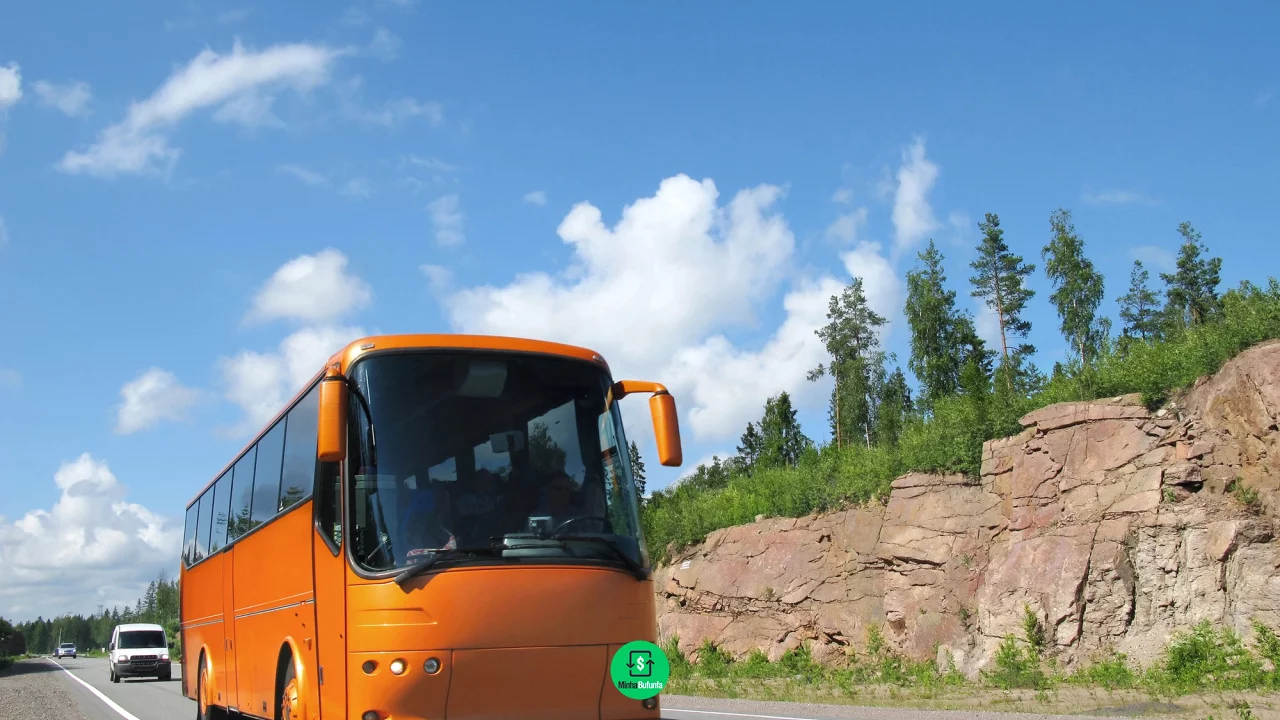 Quem pode viajar de ônibus interestadual de graça? Confira as regras