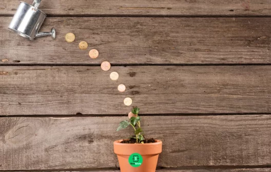 "Descubra como garantir sua segurança financeira mesmo com baixo salário: 7 estratégias infalíveis para criar sua reserva de emergência"