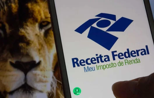 "1º lote da restituição do Imposto de Renda liberado: Confira se você está entre os beneficiados!"
