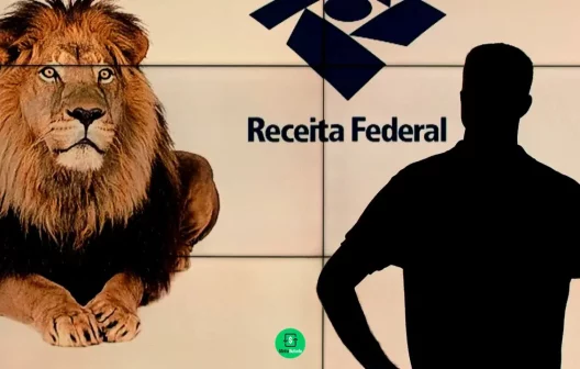 "Descubra o que fazer se sua declaração do IR for parar na temida malha fina!"