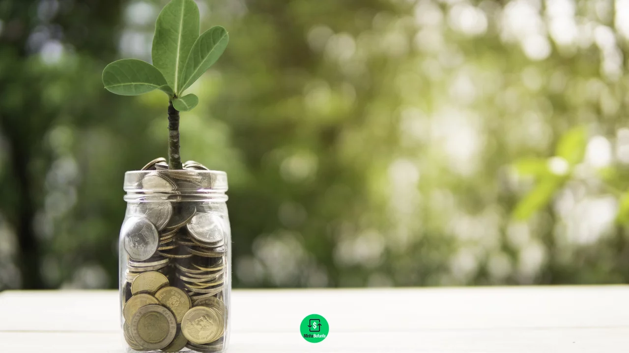 Como fazer meu dinheiro valer mais? 7 dicas fundamentais