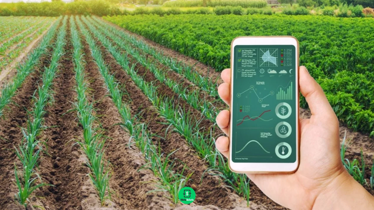 Vale a pena investir em LCA? Entenda como funciona