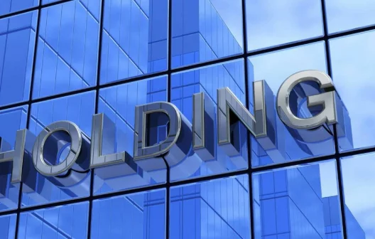 "Descubra o poder das holdings: como funciona e quais os principais tipos"