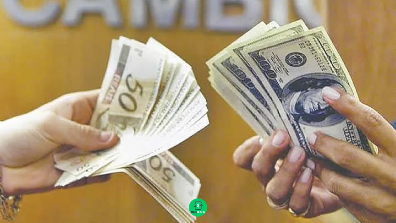 5 dicas para quem deseja investir em dólar hoje